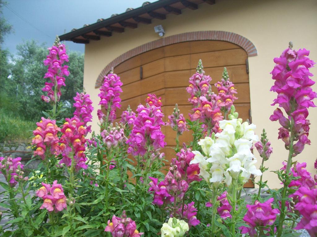 Appartamento La Casa dei Limoni Matraia Esterno foto