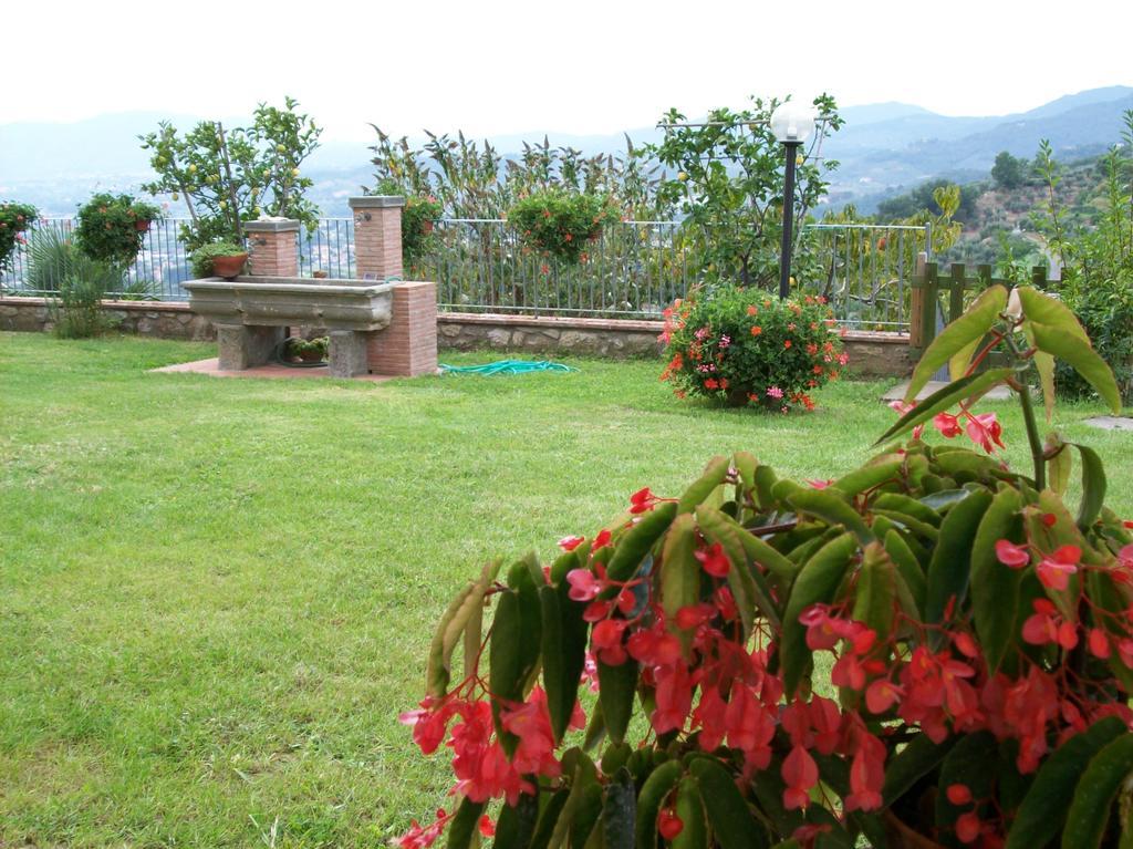 Appartamento La Casa dei Limoni Matraia Esterno foto