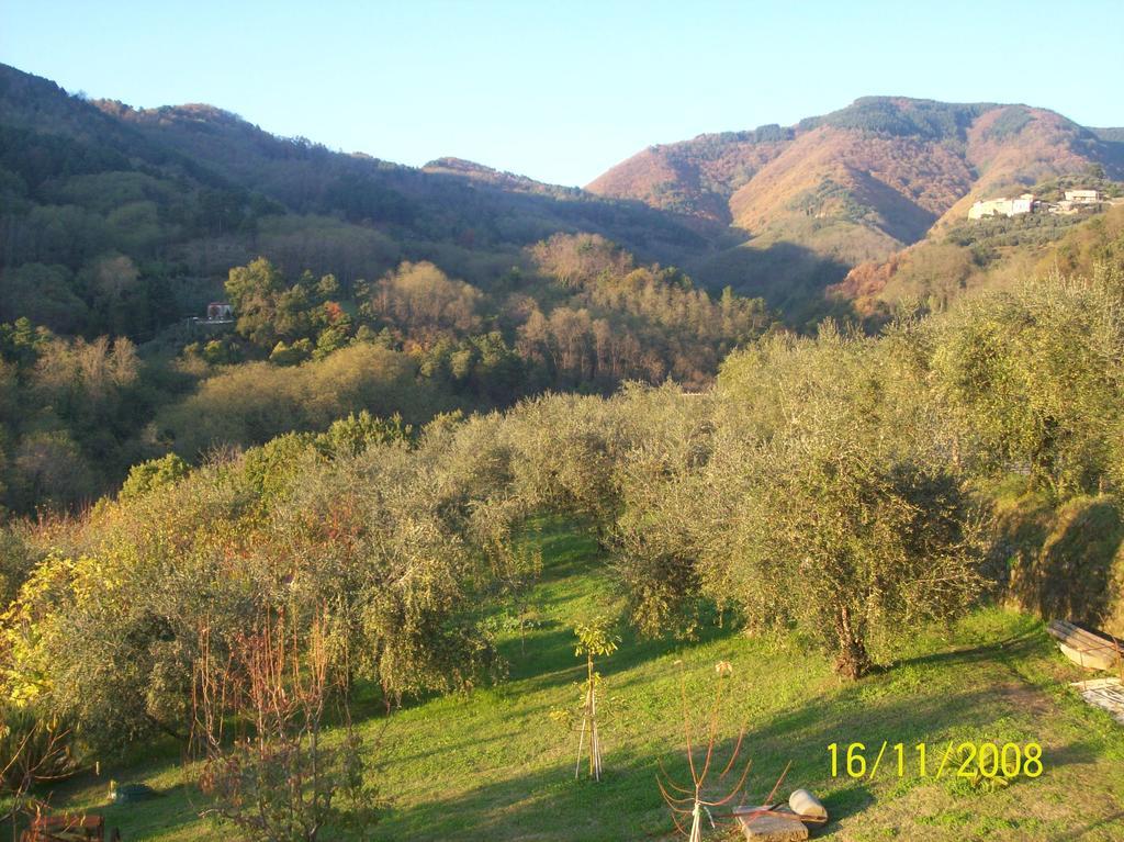 Appartamento La Casa dei Limoni Matraia Esterno foto