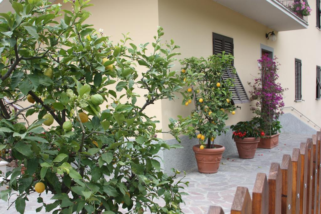 Appartamento La Casa dei Limoni Matraia Esterno foto