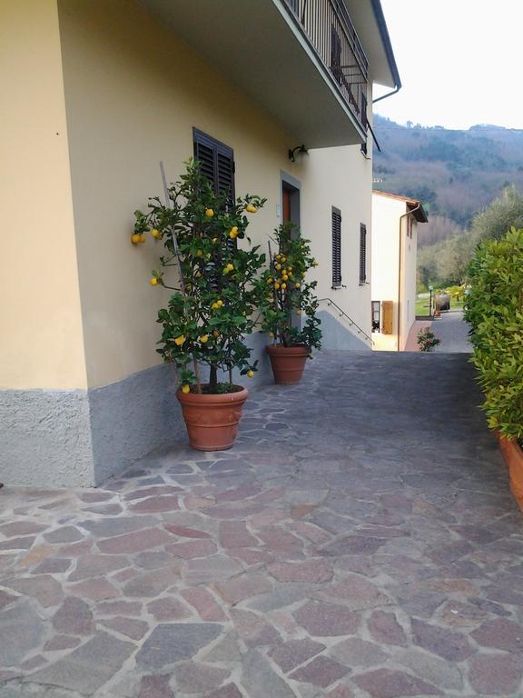 Appartamento La Casa dei Limoni Matraia Esterno foto