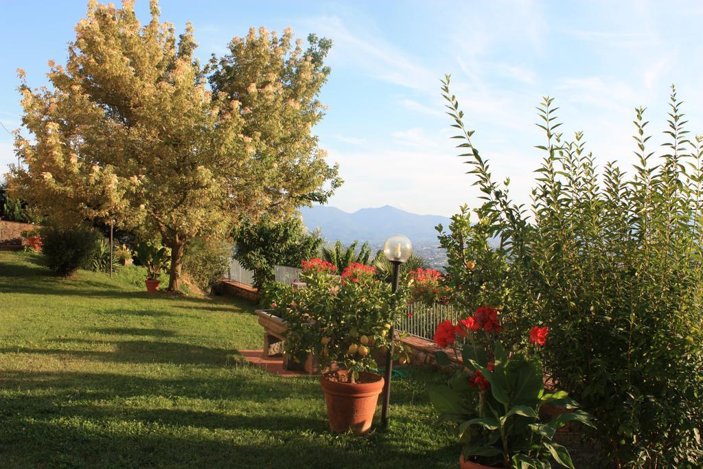 Appartamento La Casa dei Limoni Matraia Esterno foto